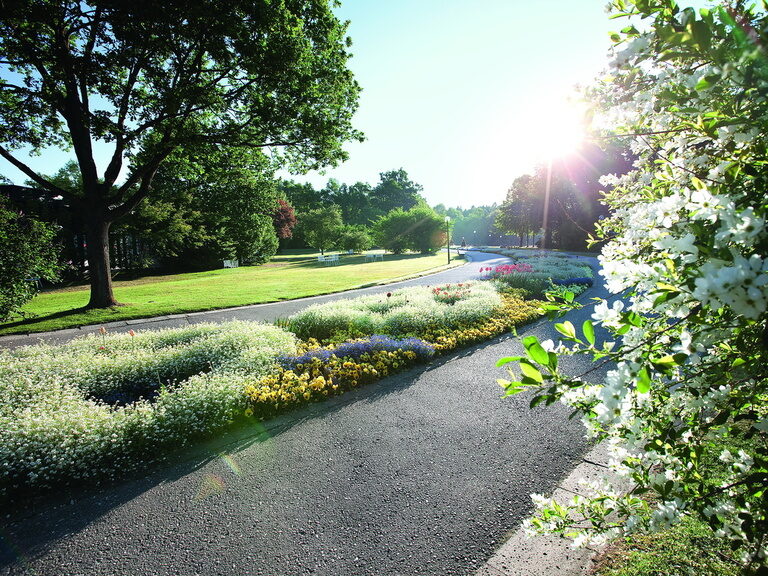 Lichtdurchfluteter Park mitten in der Natur von Bad Füssing, ideal für einen ruhigen Urlaub.